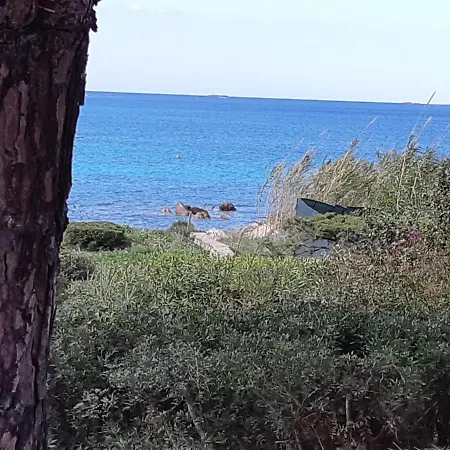 Corbezzolo Porto Taverna