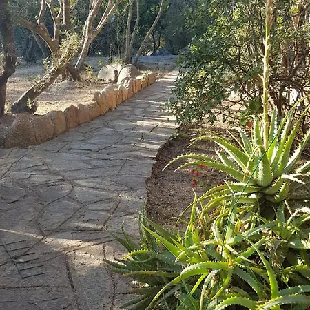 Corbezzolo Hébergement de vacances Porto Taverna