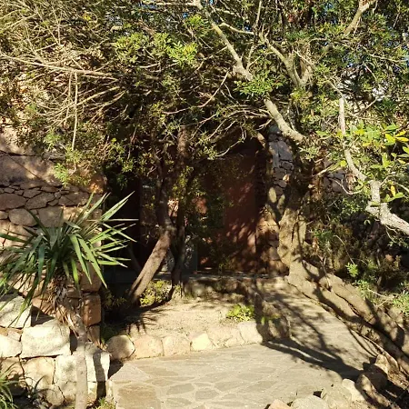 Corbezzolo פורטו טברנה