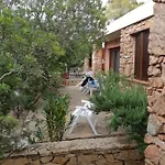 Corbezzolo Дом отдыха Порто-Таверна