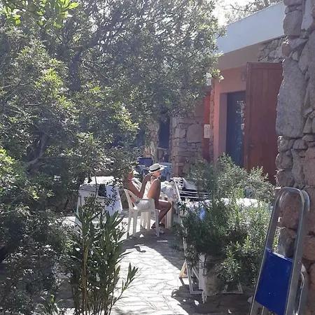 Corbezzolo