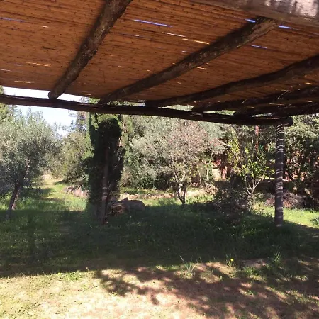 Corbezzolo * Porto Taverna