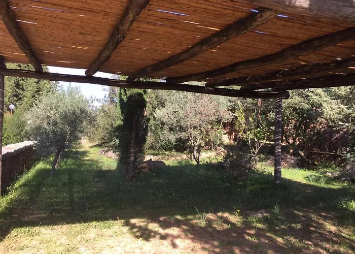 Corbezzolo * Porto Taverna