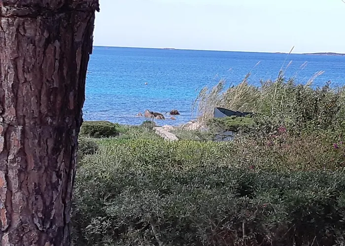 Corbezzolo Porto Taverna