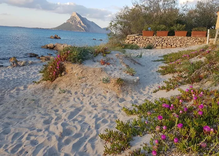 Ferienhaus Corbezzolo *