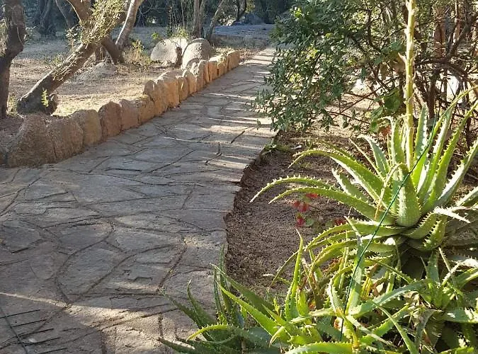 Corbezzolo Ferienhaus Porto Taverna