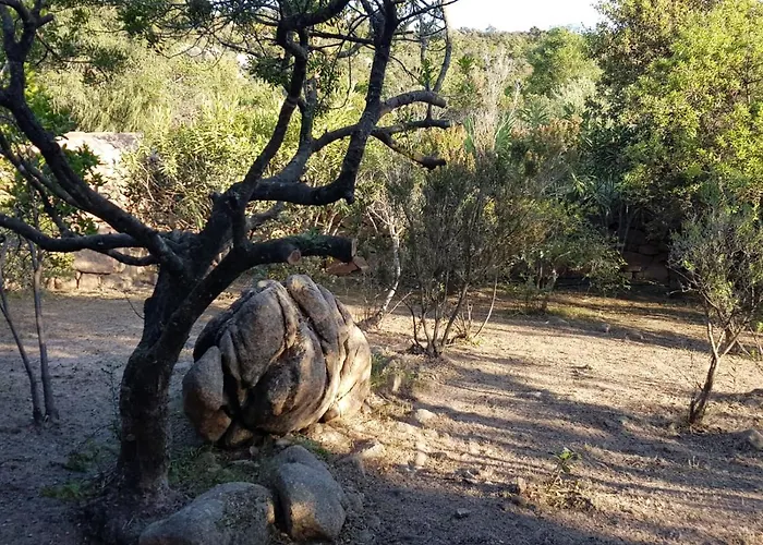 Ferienhaus Corbezzolo *